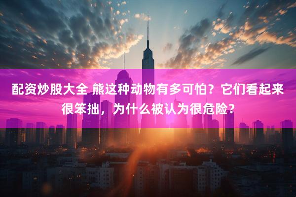 配资炒股大全 熊这种动物有多可怕？它们看起来很笨拙，为什么被认为很危险？