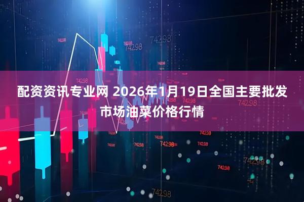配资资讯专业网 2026年1月19日全国主要批发市场油菜价格行情