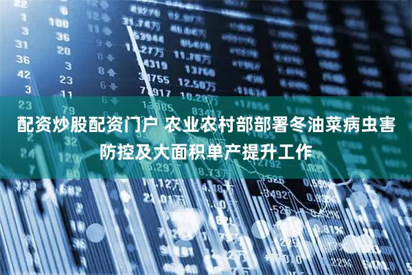 配资炒股配资门户 农业农村部部署冬油菜病虫害防控及大面积单产提升工作