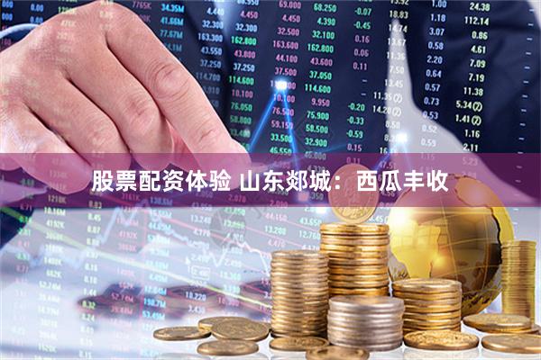 股票配资体验 山东郯城：西瓜丰收